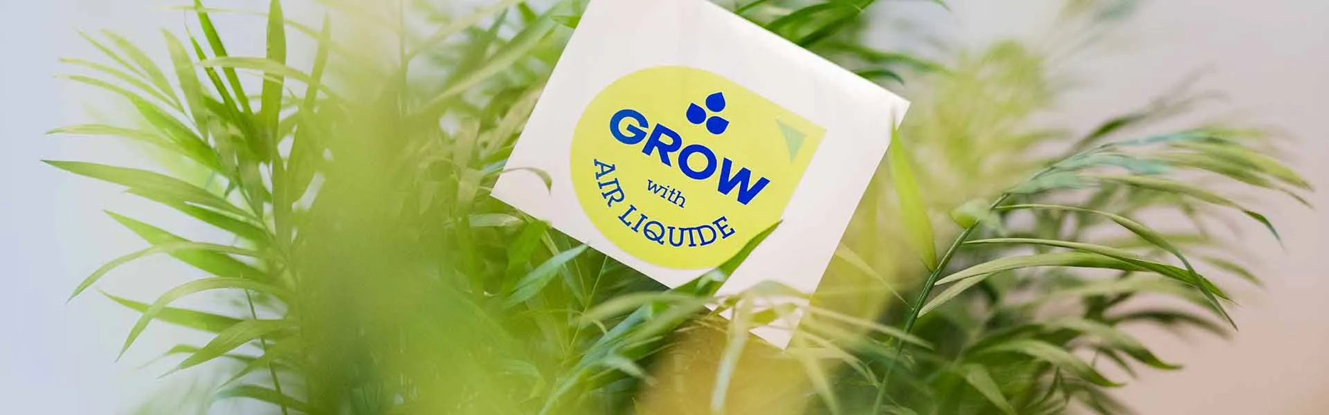 Rośnij z Air Liquide