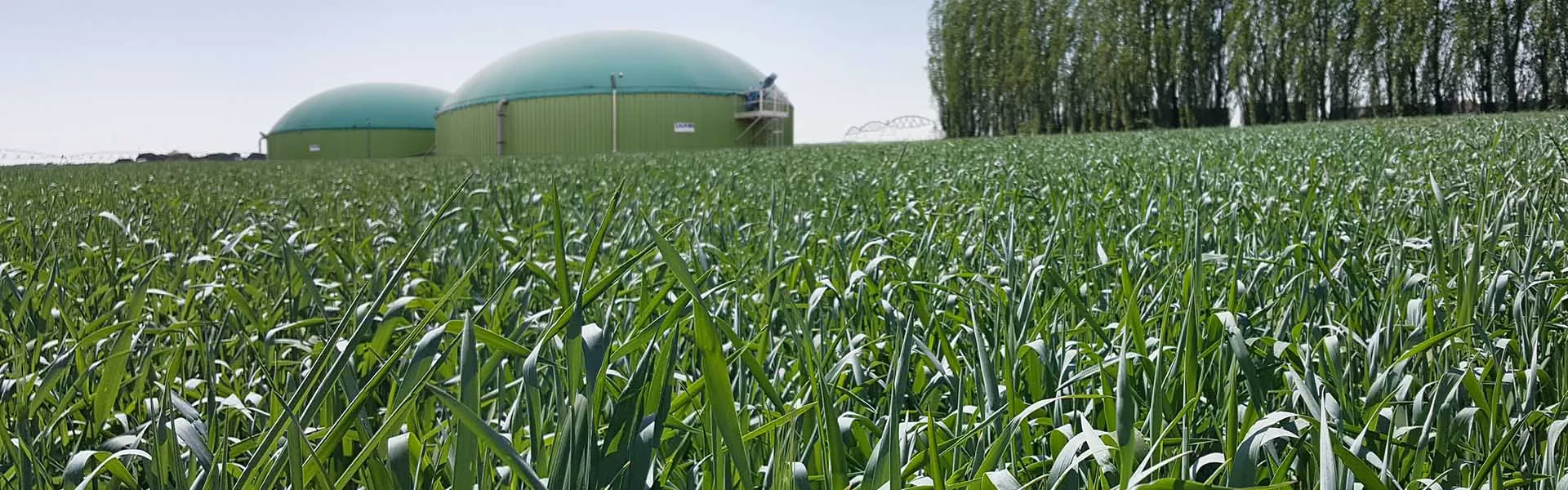 Biogaz: od odpadów do energii odnawialnej