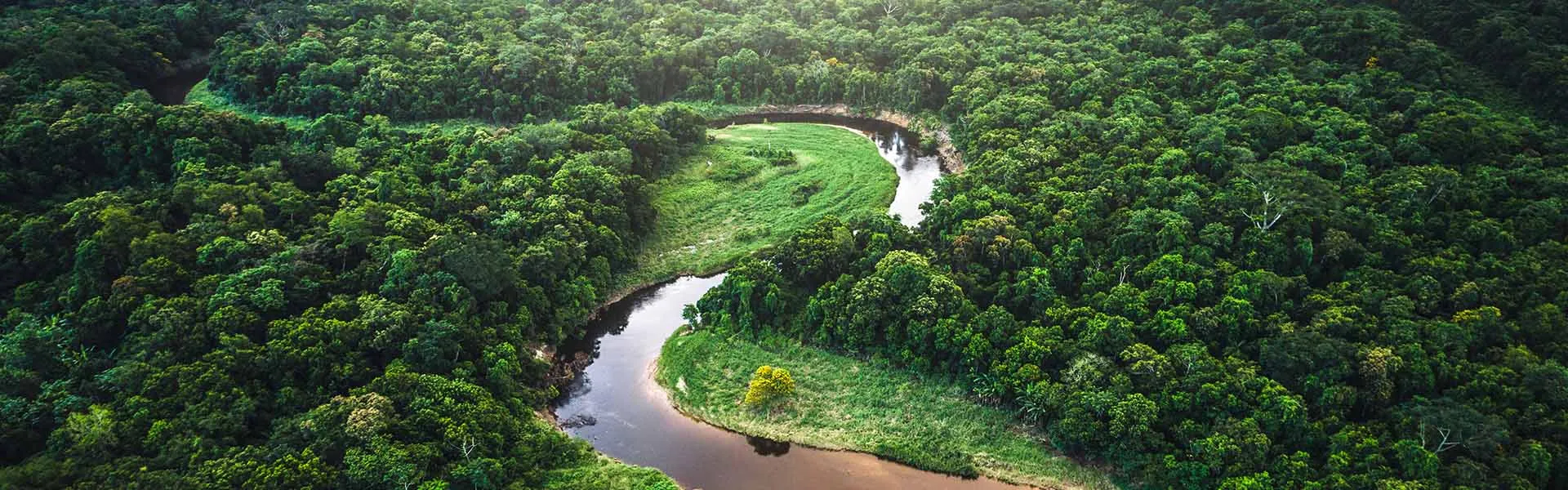 Zrównoważone rozwiązania