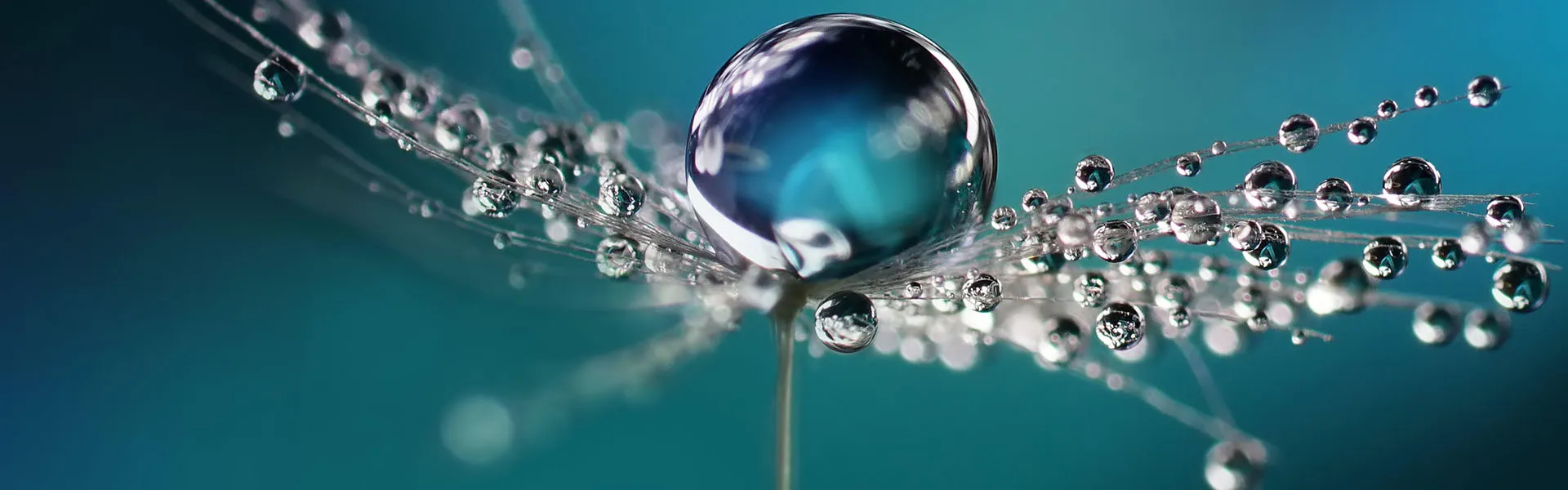 Zrównoważony rozwój