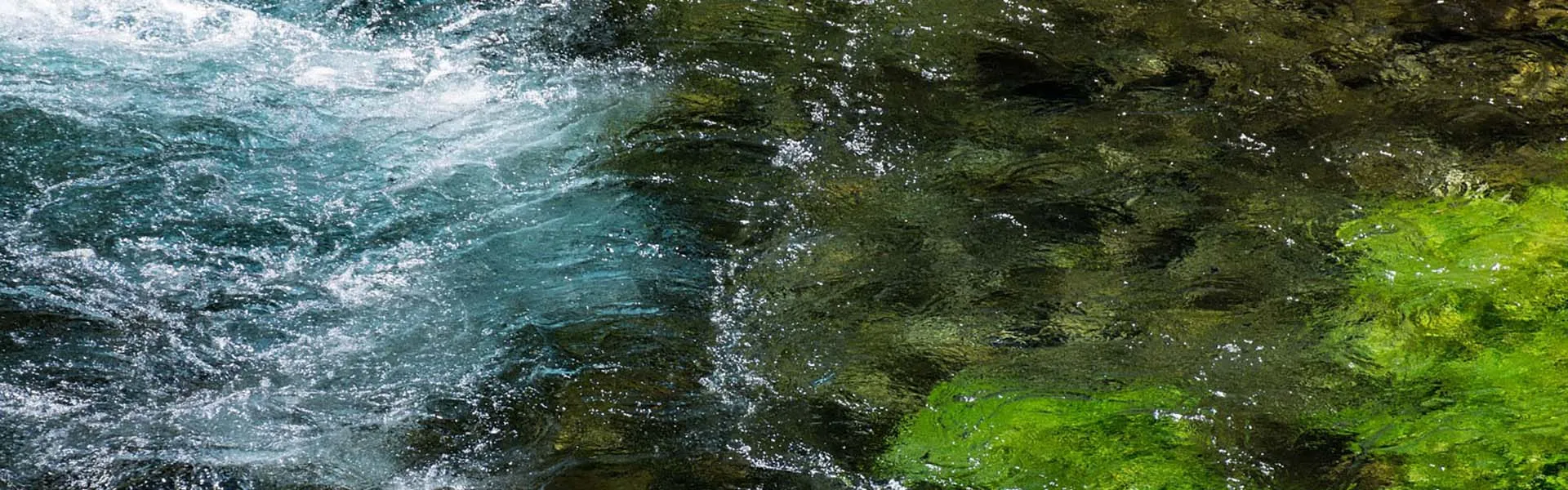 Uzdatnianie wody powierzchniowej