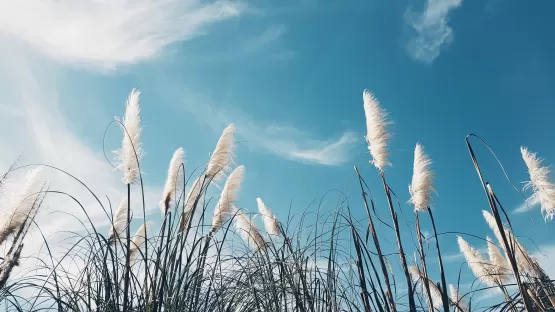 Environnement et air