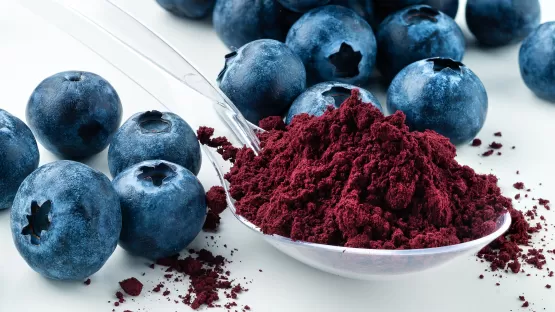 Blaubeeren Pulver