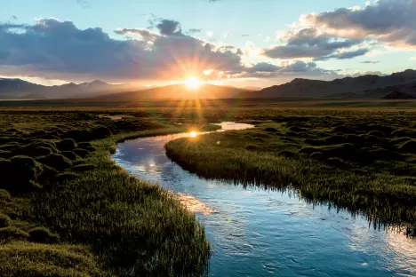 Cele klimatyczne Air Liquide