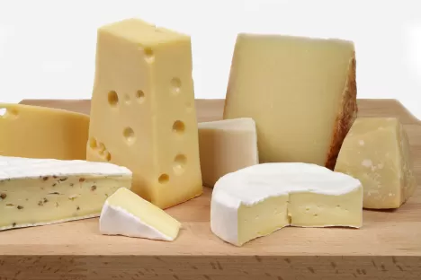 Gazy spożywcze dla serowarstwa