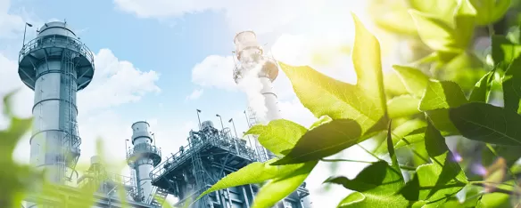 Nordic Green factory