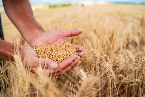 Des services personnalisés pour vous faciliter la vie