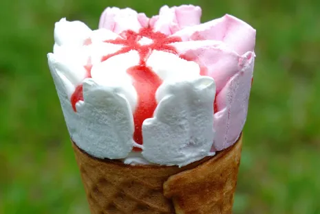 Kriogeniczne zamrażanie lodów