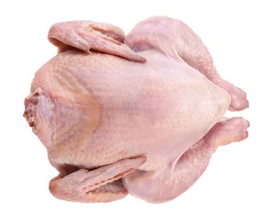 Redukcja liczebności bakterii Campylobacter