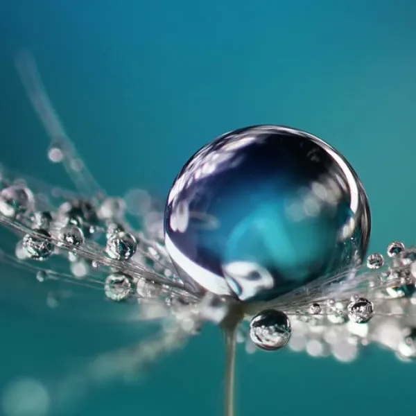 Zrównoważony rozwój w Air Liquide