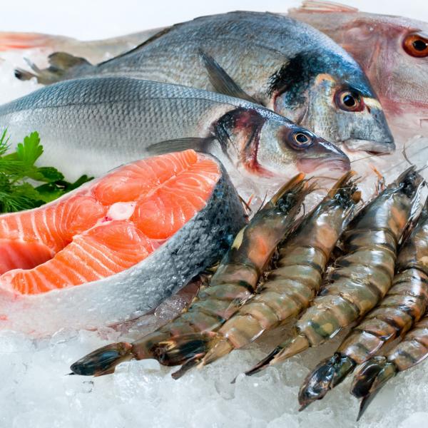 Gazy spożywcze dla przemysłu rybnego