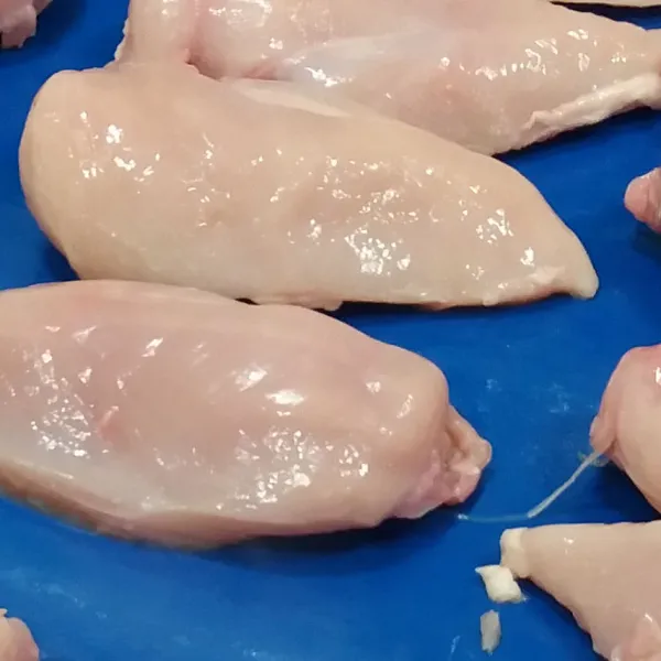 Redukcja liczebności bakterii Campylobacter