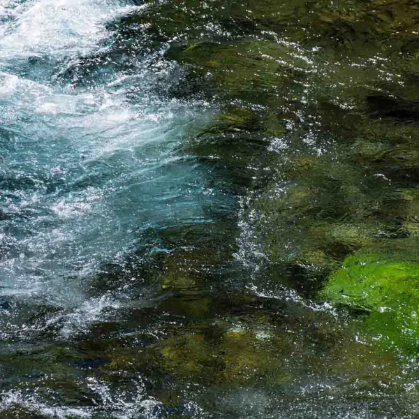 Uzdatnianie wody powierzchniowej