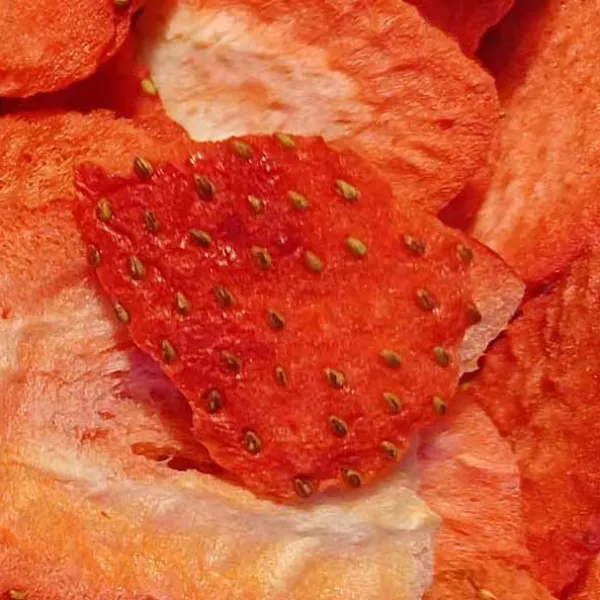 Liofilizacja produktów spożywczych