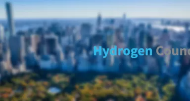 Hydrogen council