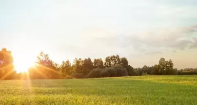 Zrównoważony rozwój