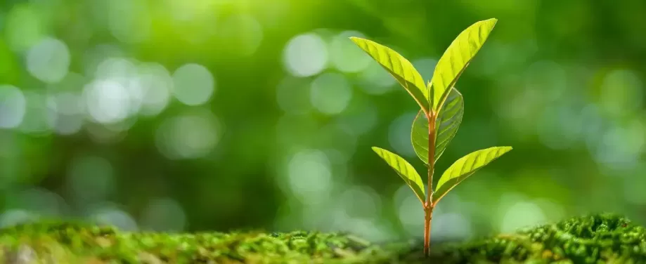 Zrównoważony rozwój w Air Liquide