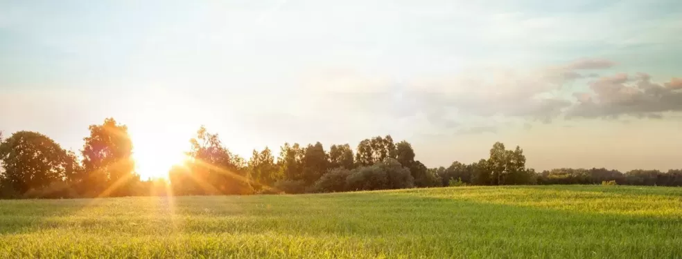 Zrównoważony rozwój w Air Liquide