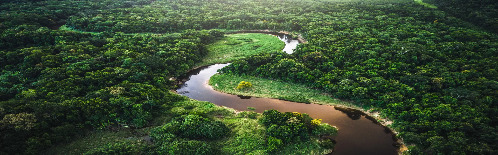 Eco origin - river