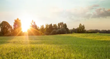 Zrównoważony rozwój